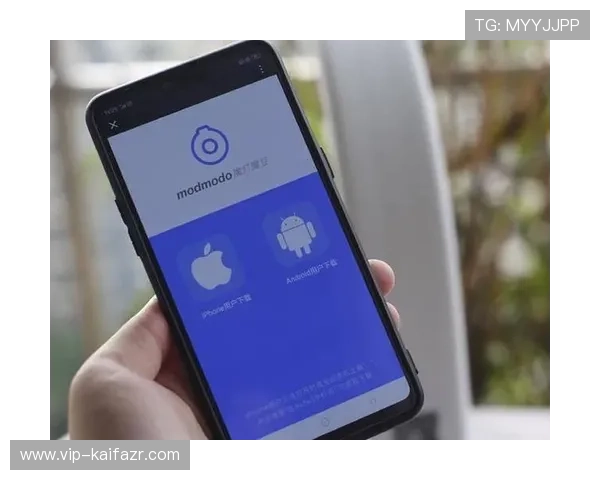 掌握K8手机登录会员登录的最新技巧，提升登录效率与安全性